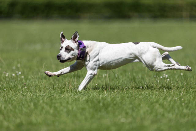 Cs3Q5565 19874542403 O