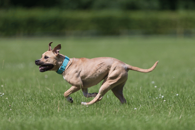 Cs3Q5782 19874603693 O