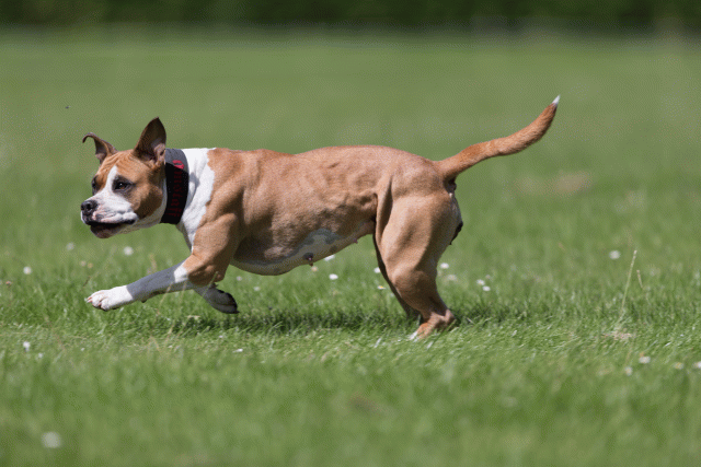 Cs3Q5765 19874617653 O