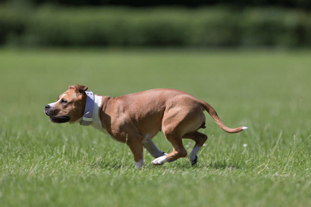 Cs3Q5727 19874646563 O