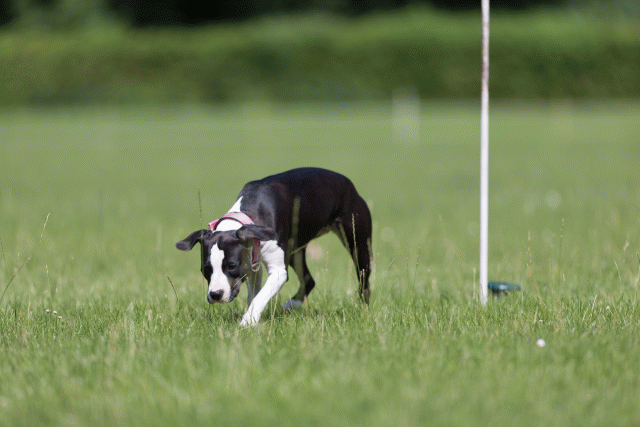 Cs3Q5708 19874665553 O