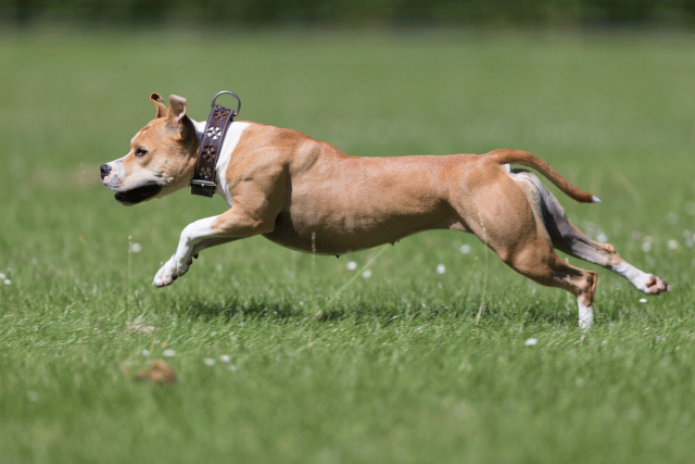 Cs3Q5702 19874671373 O