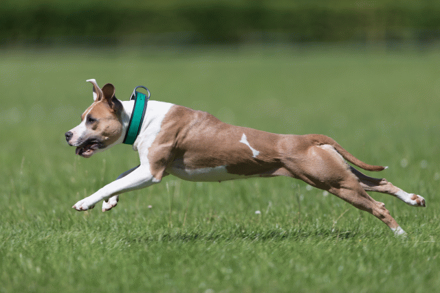 Cs3Q5684 19874687283 O