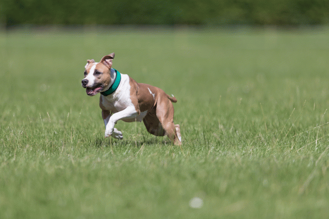 Cs3Q5680 19874691923 O