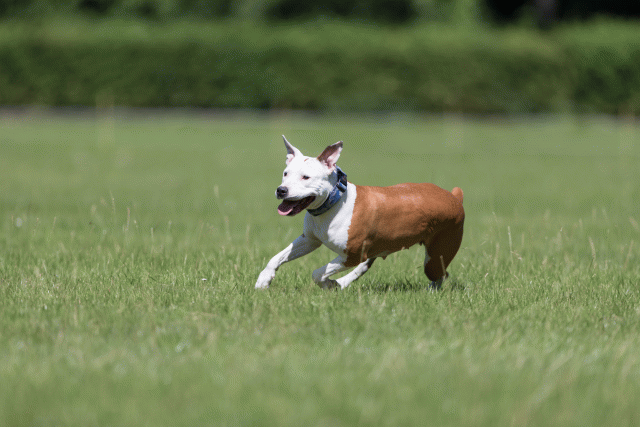 Cs3Q5618 19874734633 O