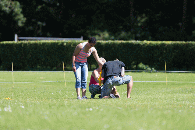 Cs3Q5616 19874737053 O