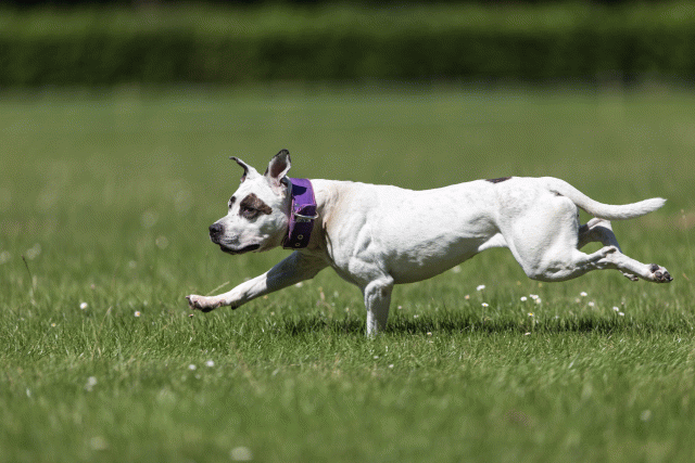 Cs3Q5569 19874779543 O