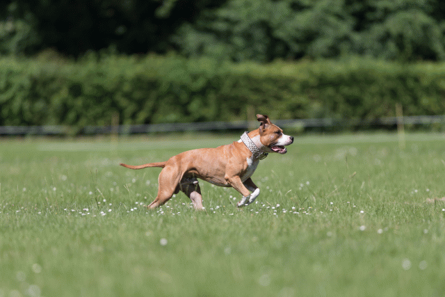 Cs3Q5529 19874825953 O