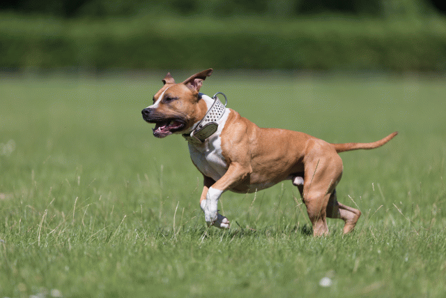 Cs3Q5513 19874839693 O