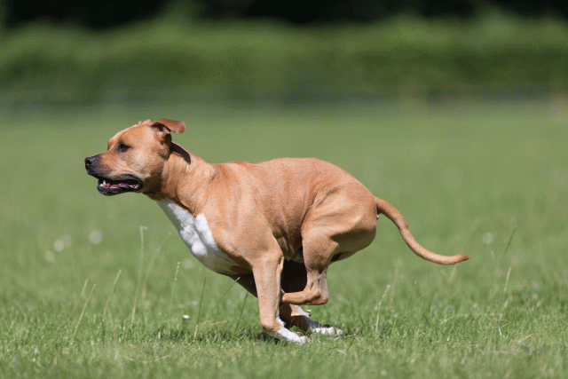 Cs3Q5496 19874856633 O