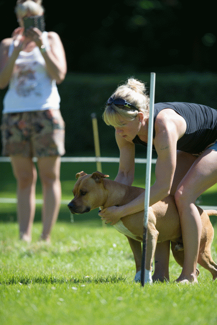 Cs3Q5485 19874869463 O