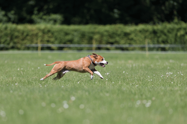 Cs3Q5482 19874870633 O