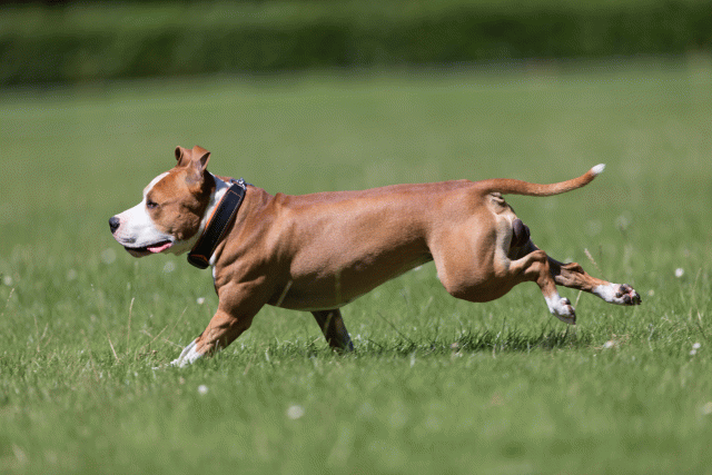 Cs3Q5475 19874871893 O