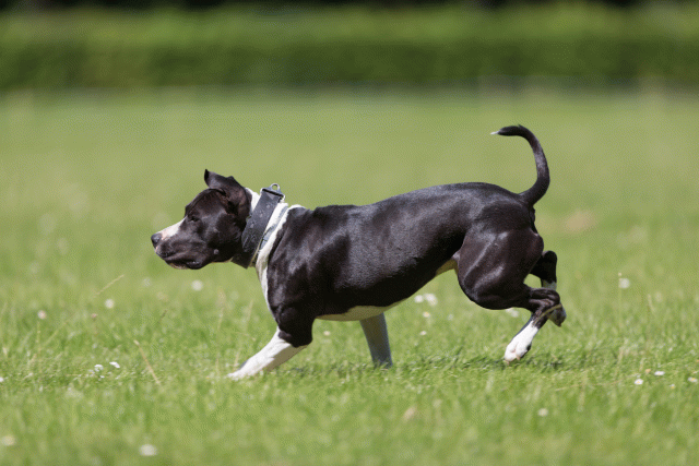 Cs3Q5441 19874898503 O