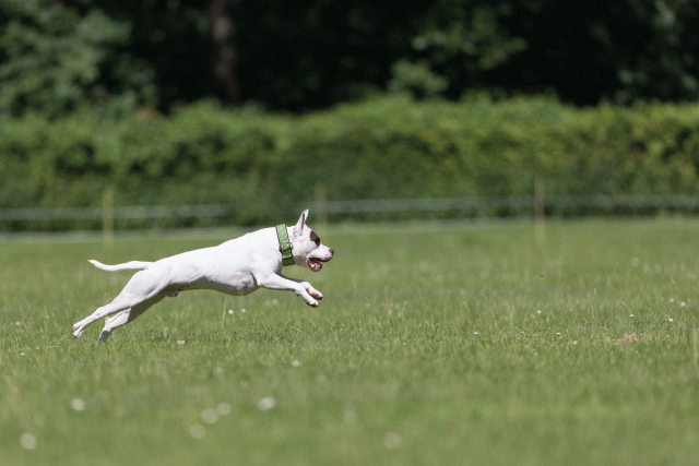 Cs3Q5418 19874923103 O