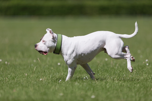 Cs3Q5404 19874935793 O