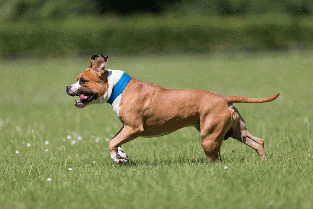 Cs3Q5372 19874963003 O