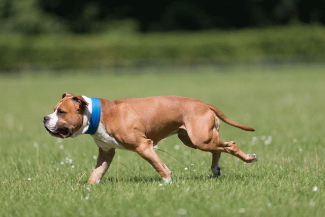 Cs3Q5370 19874966413 O