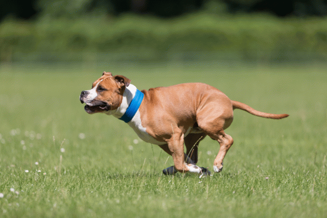 Cs3Q5367 19874971353 O