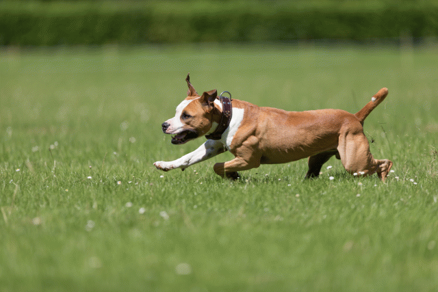 Cs3Q5346 19874988173 O