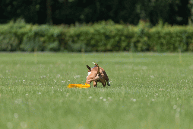 Cs3Q5308 19875020023 O