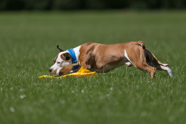 Cs3Q5295 19875034823 O