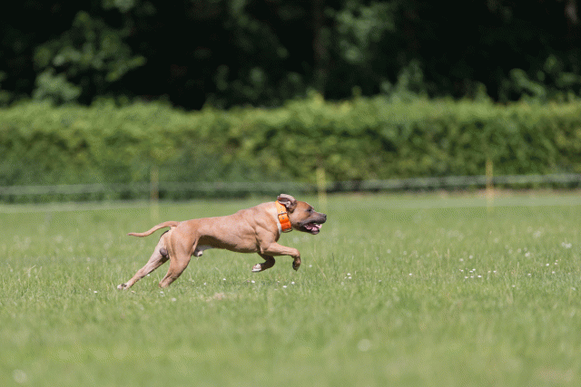 Cs3Q5287 19875040443 O