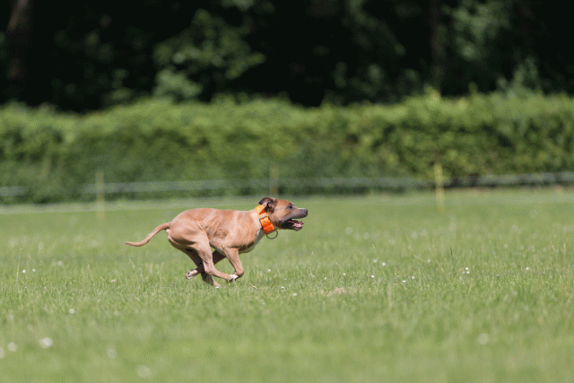 Cs3Q5286 19875041623 O