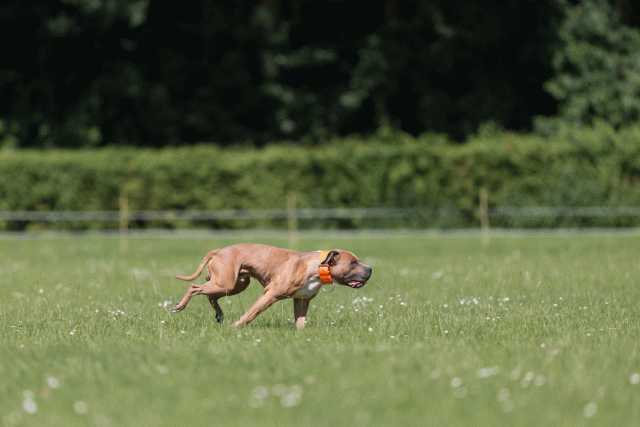 Cs3Q5284 19875043833 O