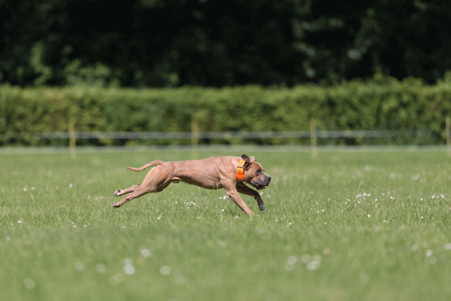 Cs3Q5283 19875044833 O