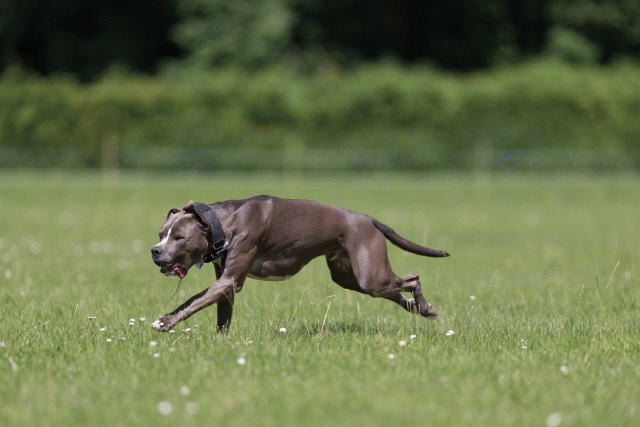 Cs3Q5250 19875074993 O