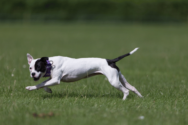 Cs3Q5815 20307401510 O