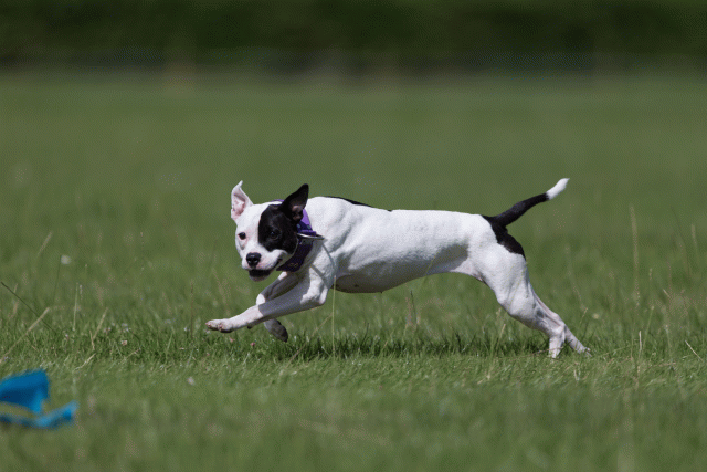 Cs3Q5812 20307405030 O