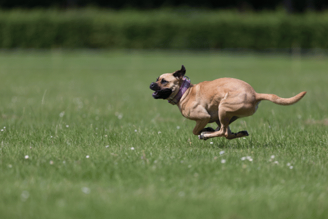 Cs3Q5797 20307421230 O