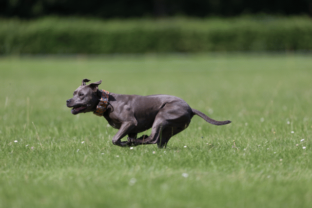 Cs3Q5788 20307430660 O