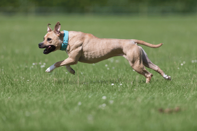 Cs3Q5779 20307440940 O