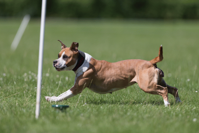 Cs3Q5769 20307447840 O