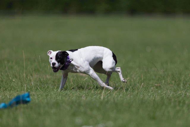 Cs3Q5810 20307453478 O