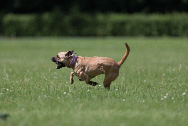 Cs3Q5801 20307462268 O