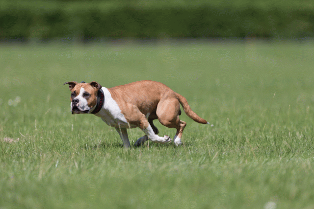 Cs3Q5750 20307466150 O