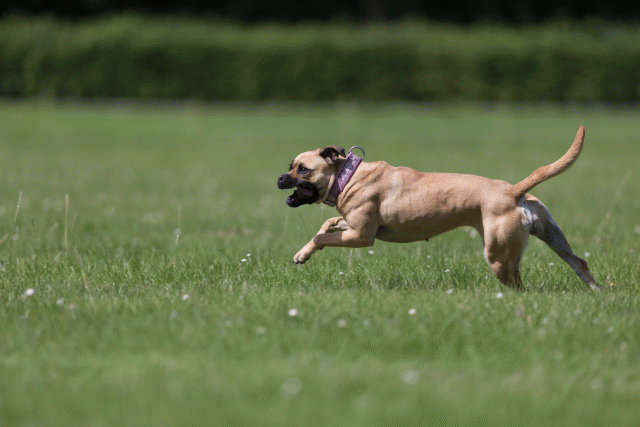 Cs3Q5798 20307466368 O