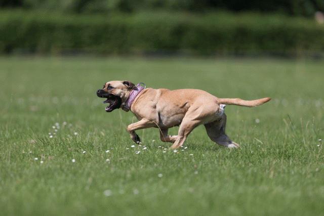 Cs3Q5794 20307469918 O