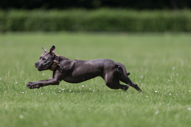 Cs3Q5789 20307475368 O