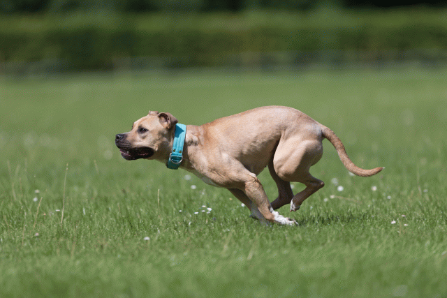 Cs3Q5781 20307485608 O