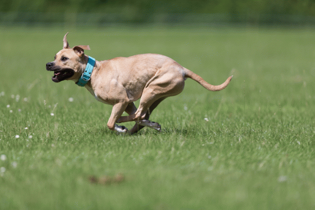 Cs3Q5778 20307487898 O