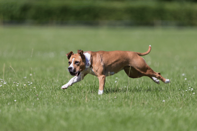 Cs3Q5719 20307492470 O