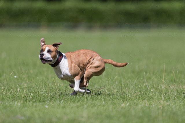 Cs3Q5754 20307507808 O