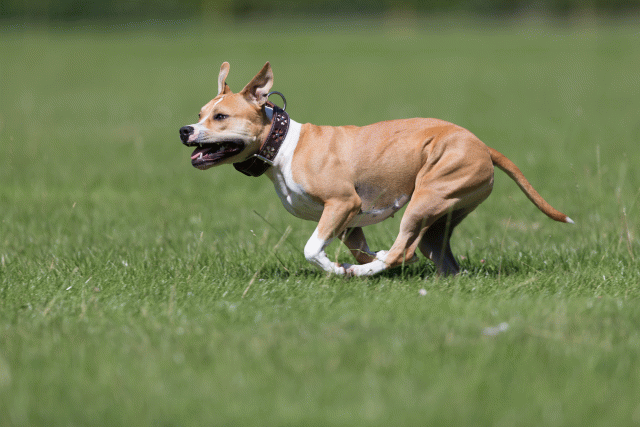 Cs3Q5699 20307510800 O