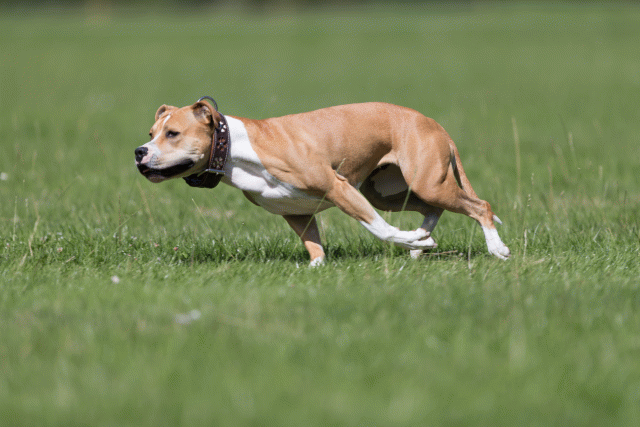 Cs3Q5698 20307511740 O