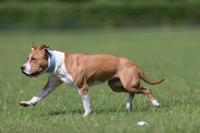 Cs3Q5741 20307520908 O